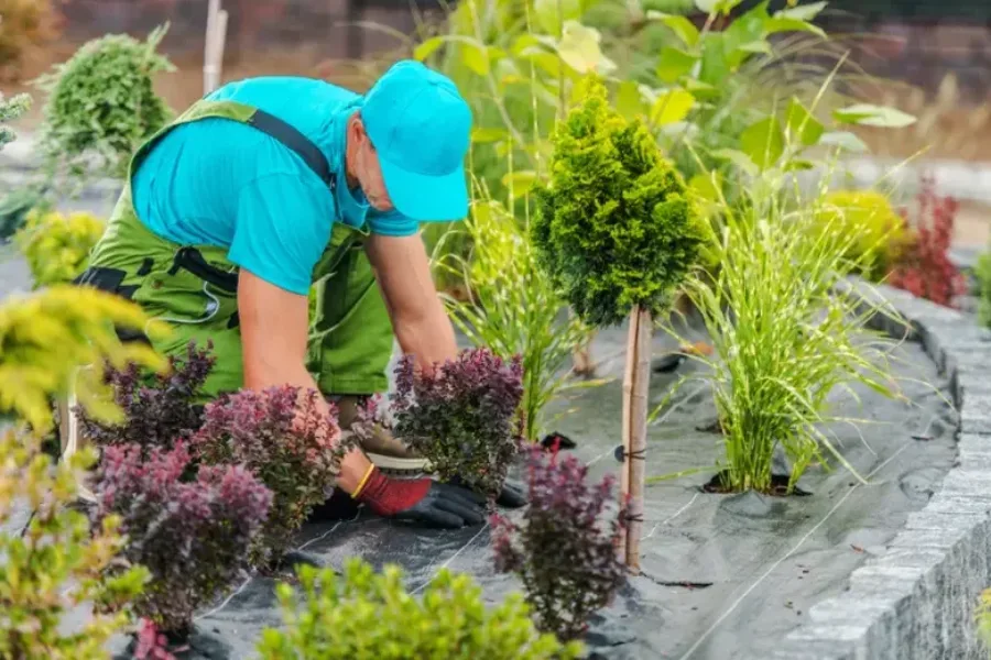 Garden Maintenance