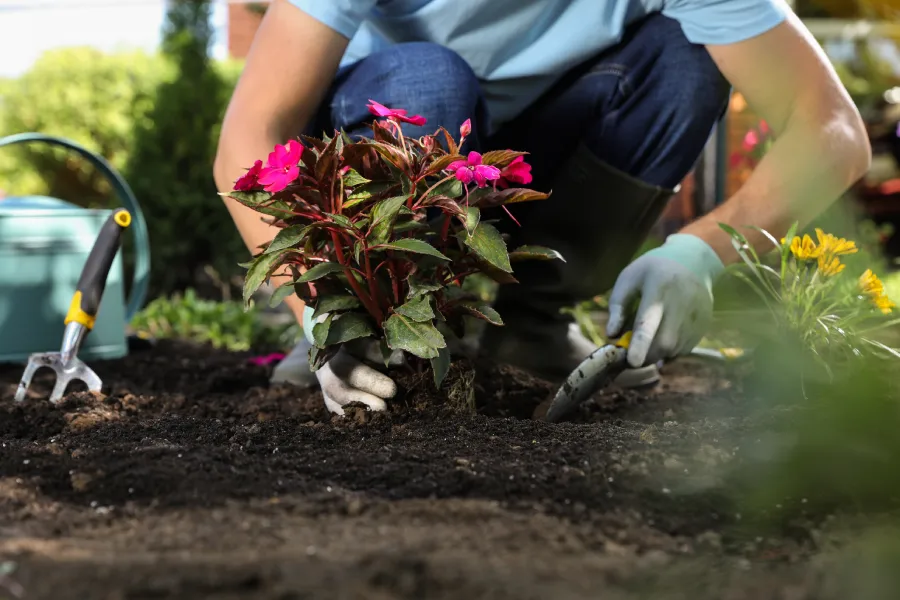 Planting Service